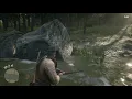 RDR 2 How to get a Perfect Cardinal for Wildlife Art Exhibition II