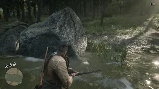 RDR 2 How to get a Perfect Cardinal for Wildlife Art Exhibition II