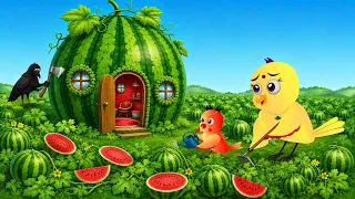 चिड़िया का तरबूज Watermelon का घर|tony chidiya kahani achha achha ranu chidiya cartoonspicture