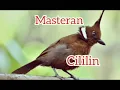 Download Lagu MASTERAN CILILIN DAN GEMERCIK AIR PBBF