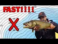 HOW TO FIND LAKE TROUT - FAST