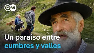 Los Dolomitas - Verano en los Alpes italianos | DW Documental