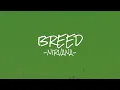Breed // Nirvana // Lyrics // Letra // the guy she was interested in wasn't a guy at all