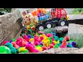 Download Lagu Menyelamatkan Banyak Anak Ayam Lucu Dibalik Daun Pisang, Bebek, Ikan Hias, Kura Kura Brazil, Buaya
