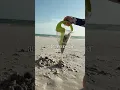 Drizzle castles My kids are obsessed with this beach toy
