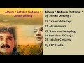 Download Lagu Album Setulus Cintamu by Johan Untung