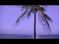 Visionary Temples - Scott Huckabay & Dean Evenson