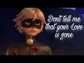 Download Lagu Love is gone (Ladynoir)AMV