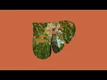 Wait (2026 Mix) - The Beatles