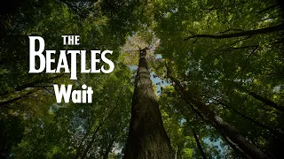The Beatles - Wait - 2026 Mix (Visualiser)