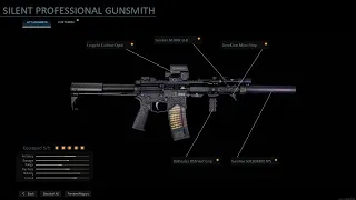 Silent Professional Battle Arms Development 10 Minute Review