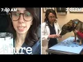 A Veterinarian s Entire Routine from Waking Up to Treating Pets Allure