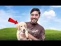 Download Lagu Our New Family Member- Iska Kya Name Rakhe?