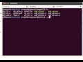 UDP echo client and server demo