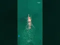 Download Lagu Tips om te zwemmen als een Olympiër! 🏊‍♂️