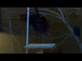 Live West Virginia bird feeder cam