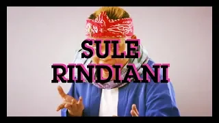 Download Sule Rindiani ( slam ) with smule MP3