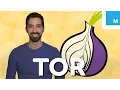 What is Tor and Should You Use It Mashable Explains