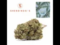 Sunset Sherbet Strain Review Featuring Sherbinskis Sun-Grown Flower In California