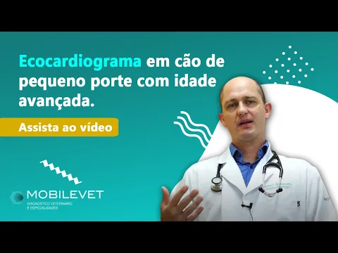 Download MP3 Explicação do Ecocardiograma em Cão de porte pequeno.