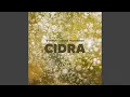 Download Lagu CIDRA