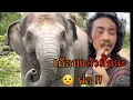 Download Lagu ถ่ายคลิปอยู่ดีๆ ก็กลายเป็นคลิปเสี่ยงต่อชีวิตซ่ะงั้น โดยเฉพาะพ่อจ๋า ‼️
