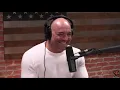 Lenny Clarke's CRAZY Sam Kinison Stories | Joe Rogan