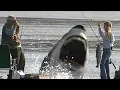 Download Lagu Blue Demon (2004): Sharks and Schlock 2024