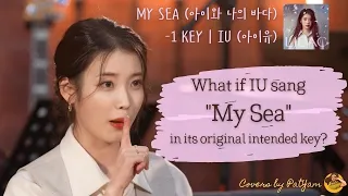 Download What if IU sang \ MP3