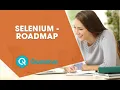 Selenium Tutorial Learn selenium webdriver tutorial 2019