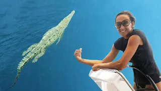 ROGUES & CROCODILES – Sailing Tranquilo Around the World | Ep.75