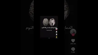 هل فعل ا الدماغ يأكل نفسه من قلة النوم    دندنها