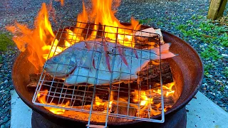 Surf Fishing Catch And Cook Fort Bragg