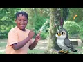 Juguemos En El Bosque - Fuentes Kids (Video Oficial)