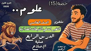 الدرس الرابع علوم الصف الخامس الابتدائي مفهوم التغيرات في الشبكات الغذائية مستر محمد ابراهيم 2026 