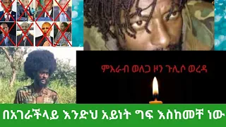 በጣም ያሳዝናል 