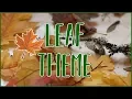 Setting Up The Toddler And Preschool Classroom - Leaf Theme
