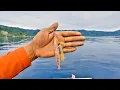 Download Lagu Senang Sekali Hanya Acara Lewat Spot || Sudah Strike Ikan Cerapu Sultan || UL Jigging