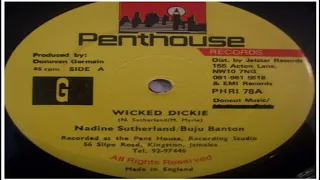 wicked dickie riddim mix 1993 buju banton terror fabolous cutty ranks macka diamond peter