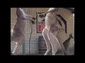 Download Lagu Kangaroo Stand off Outside Aussie Pub  ViralHog