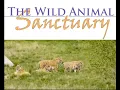 Exotic Animal Transportation - Animal Transportation Welfare Symposium 2023