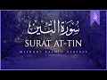 Download Lagu Surat At-Tin (de vijg) | Mishary Rashid Alafasy | Voedingssupplementen | Dit is het geval