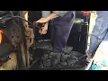 Shovel coal