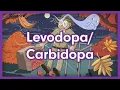 Levodopa Carbidopa Mnemonic for Nursing Pharmacology NCLEX
