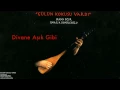 Divane Aşık Gibi - Erkan Oğur