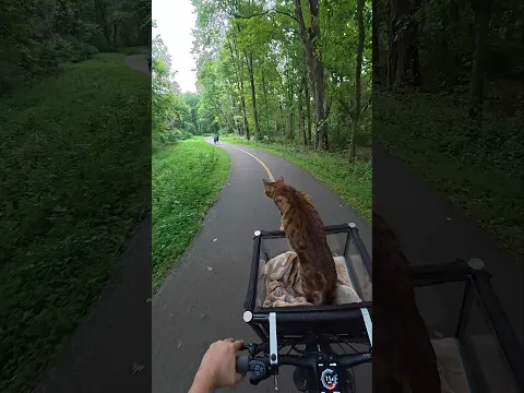 Pouncey likes Moraine for the ride. Lots of twists and turns.