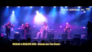 Download Nicolae si Nicoleta Guta - Greseala mea (Live Spania) MP3