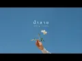 น้ำลาย - Silly Fools | Electronic Pop Version.