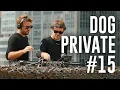 Download Lagu Dubdogz - DOGPRIVATE #15 (AiR Rooftop, São Paulo - SP) Insomniac Residency