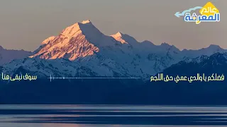 ان كل ما جنينا من جهودكم نجم دندنها